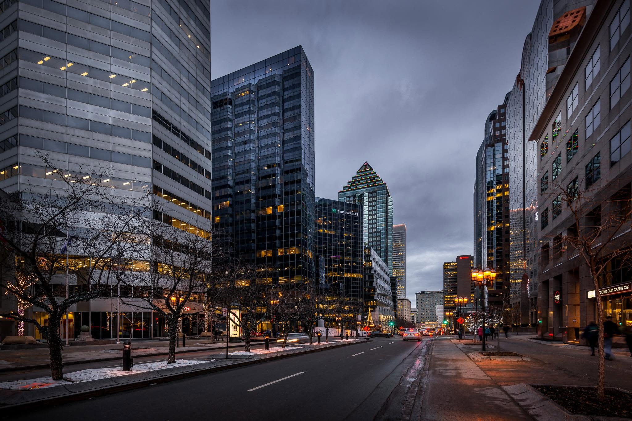 A wide downtown Montréal avenue at blue hour, lined with office towers and holiday-lit trees